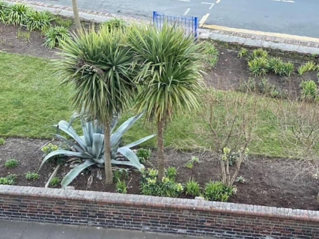 "The Quirky" Seafront Apartment Torneo de Torneo de Eastbourne Exterior foto